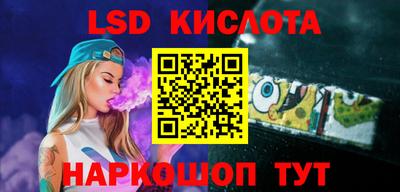 индика Новодвинск