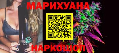 индика Новодвинск