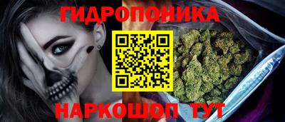 прущие грибы Новозыбков