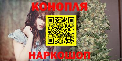 индика Новодвинск