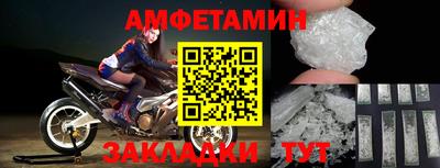 прущие грибы Новозыбков