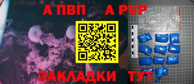индика Новодвинск