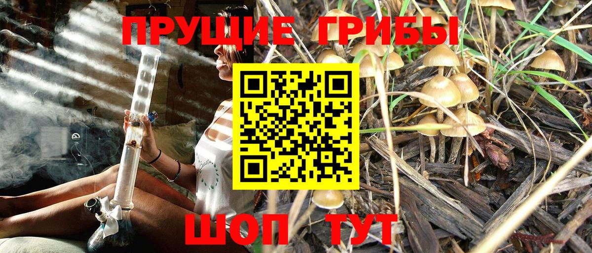 Сланцы  Псилоцибиновые грибы MAGIC MUSHROOMS  Вход с VPN 